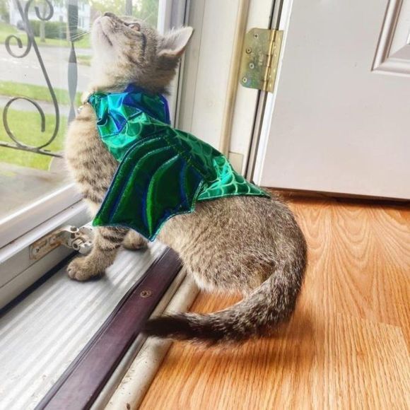 Hyde and Eek Pet Bandana Collar Slide Dragon‎ Scales Wings Costume Green OS - Picture 5 of 5